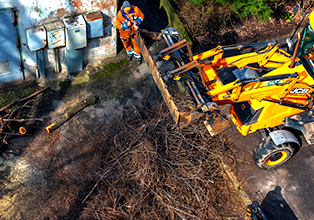 Trash and Debris Removal